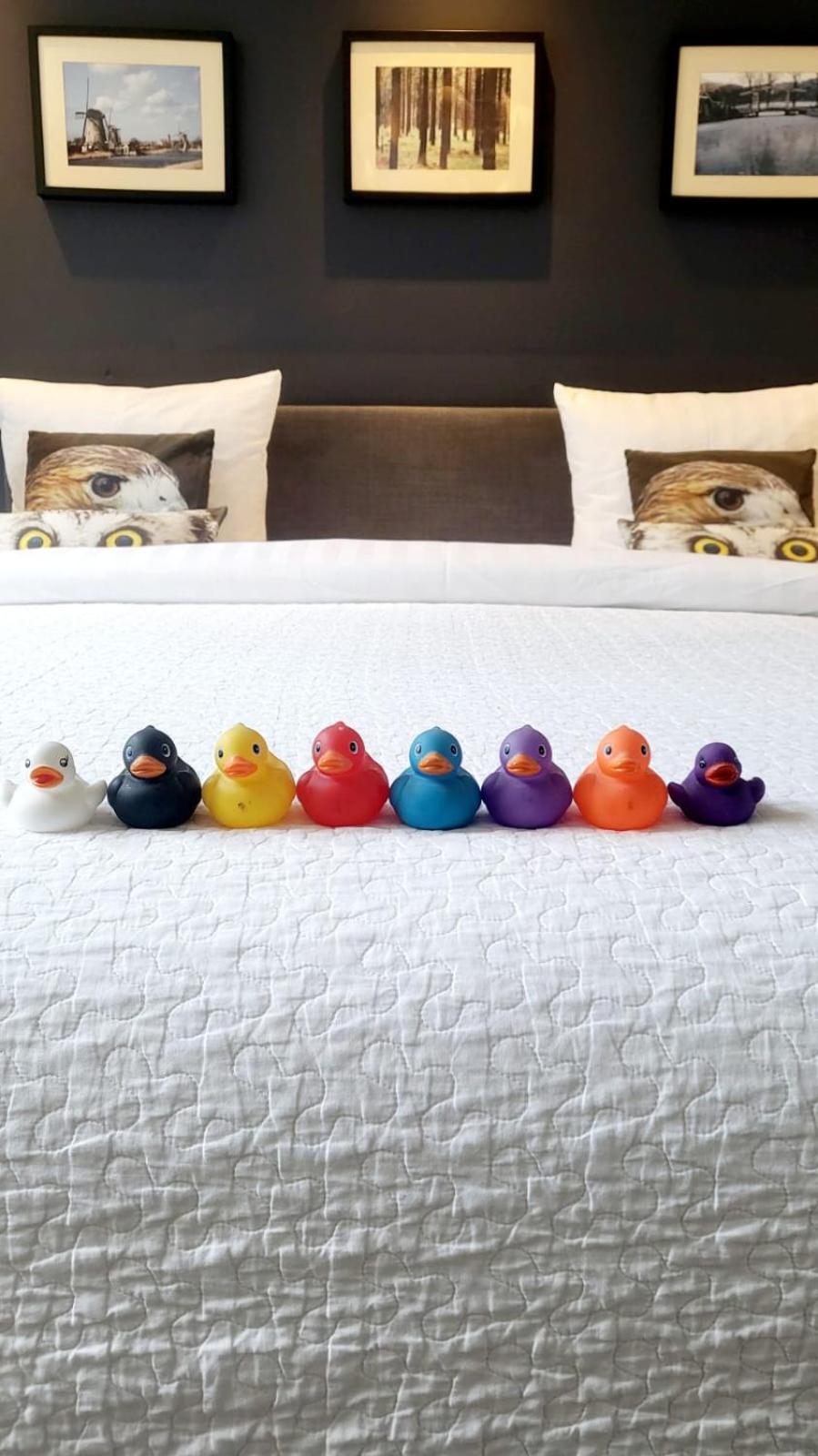 Velvetamsterdam Quarto em Acomodações Particulares Amesterdão